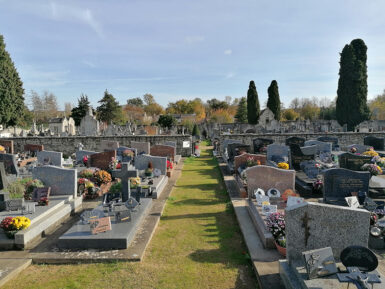 cimetière enherbé