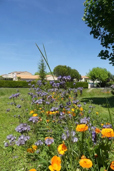 Martigny jachère