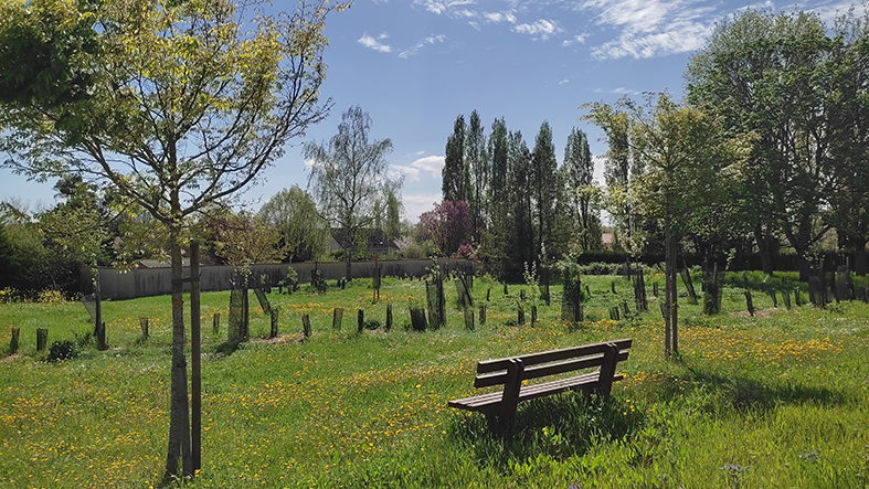 parc avec fleurs jaunes, rue de vert avec un banc au premier plan
