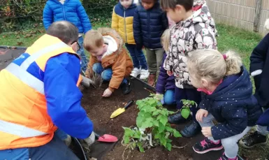 plantation à l'école maternelle. Un agent des services techniques aide un enfant à planter une plante. D'autres enfants les regardent.
