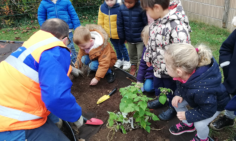 plantation à l'école maternelle. Un agent des services techniques aide un enfant à planter une plante. D'autres enfants les regardent.
