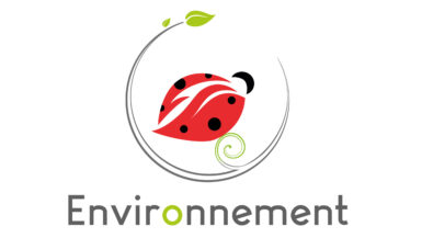 logo environnement représenté par une coccinelle