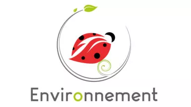 logo environnement représenté par une coccinelle