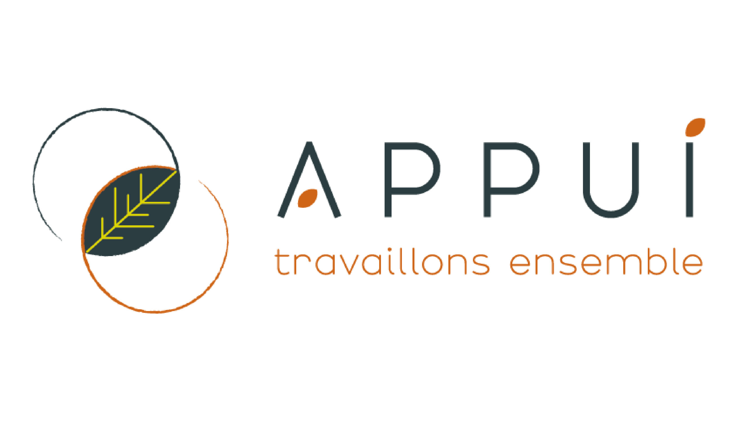 logo appui