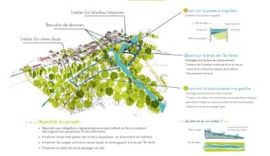 travaux Clain moulin Protection de la biodiversité - fermeture
