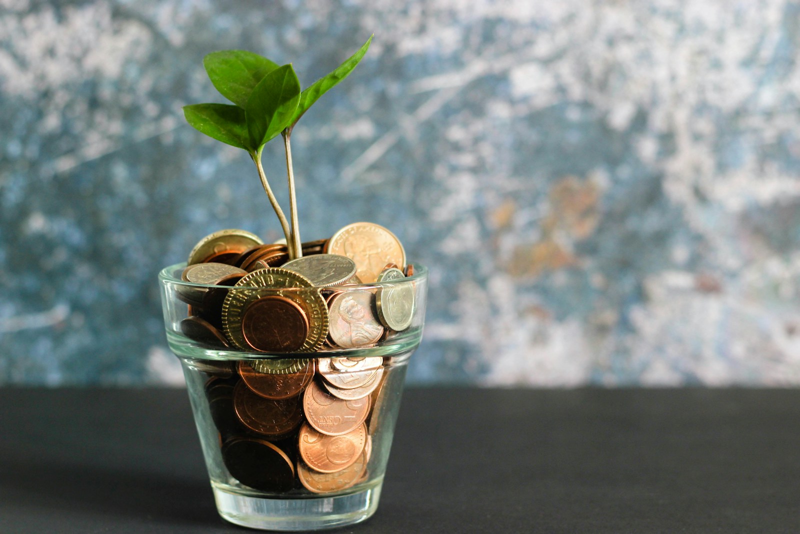 verre rempli de pièce avec une plante qui pousse au-dessus