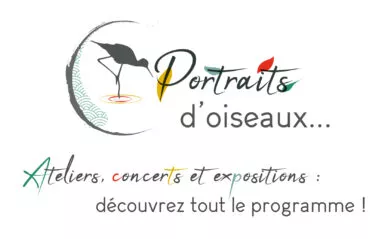 Projet Portraits d'oiseaux représenté avec un logo composé d'un oiseaux en silhouette gris antracite sur le côté avec des touches de couleurs des quatre structures de la culture vert, rouge, jaune, et bleu gris.