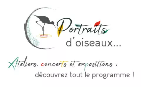 Projet Portraits d'oiseaux représenté avec un logo composé d'un oiseaux en silhouette gris antracite sur le côté avec des touches de couleurs des quatre structures de la culture vert, rouge, jaune, et bleu gris.