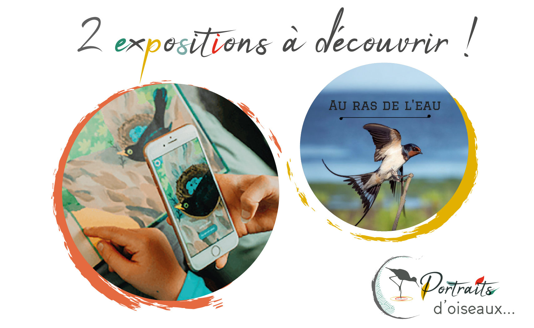 vignette comprenant deux photos des exposition sur les oiseaux