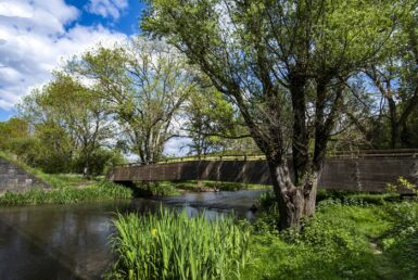 pont passerelle marais chemin aumône