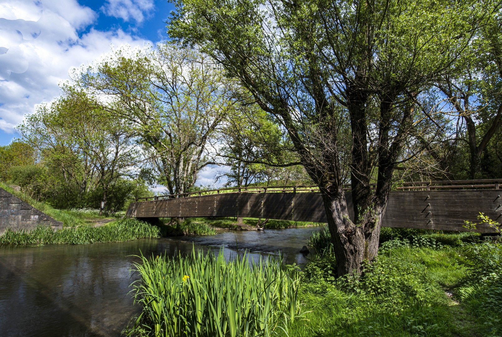 pont passerelle marais chemin aumône